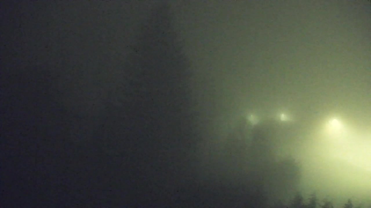 Web kamera Lokve – Ljepota Trnovske šume