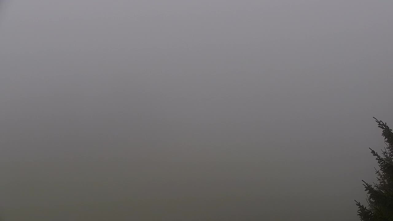 Camera en vivo Lokve – La belleza del bosque de Trnovo