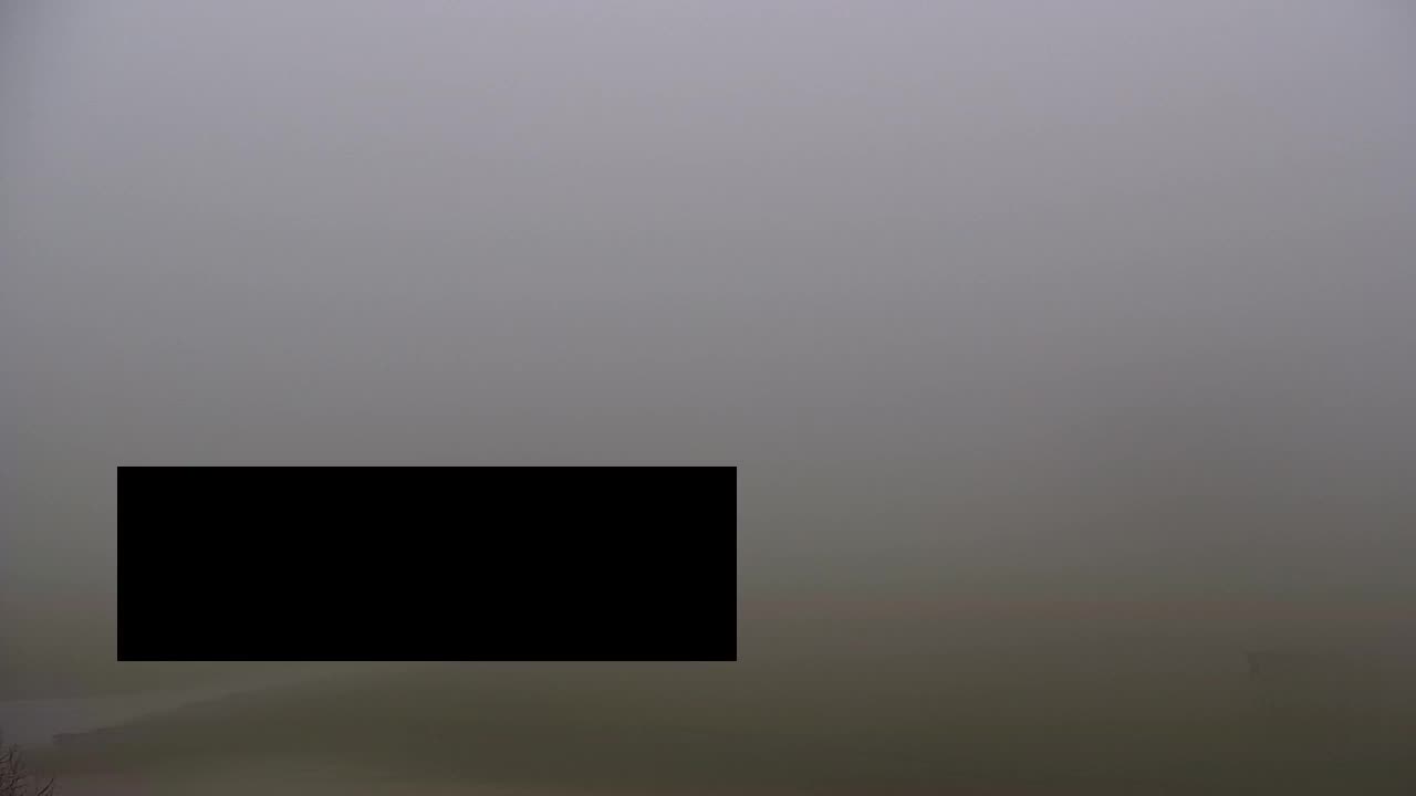 Webcam Loqua / Lokve – La bellezza della selva di Tarnova