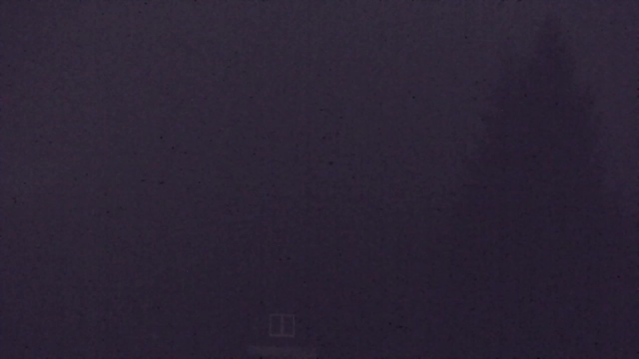 Webcam Loqua / Lokve – La bellezza della selva di Tarnova