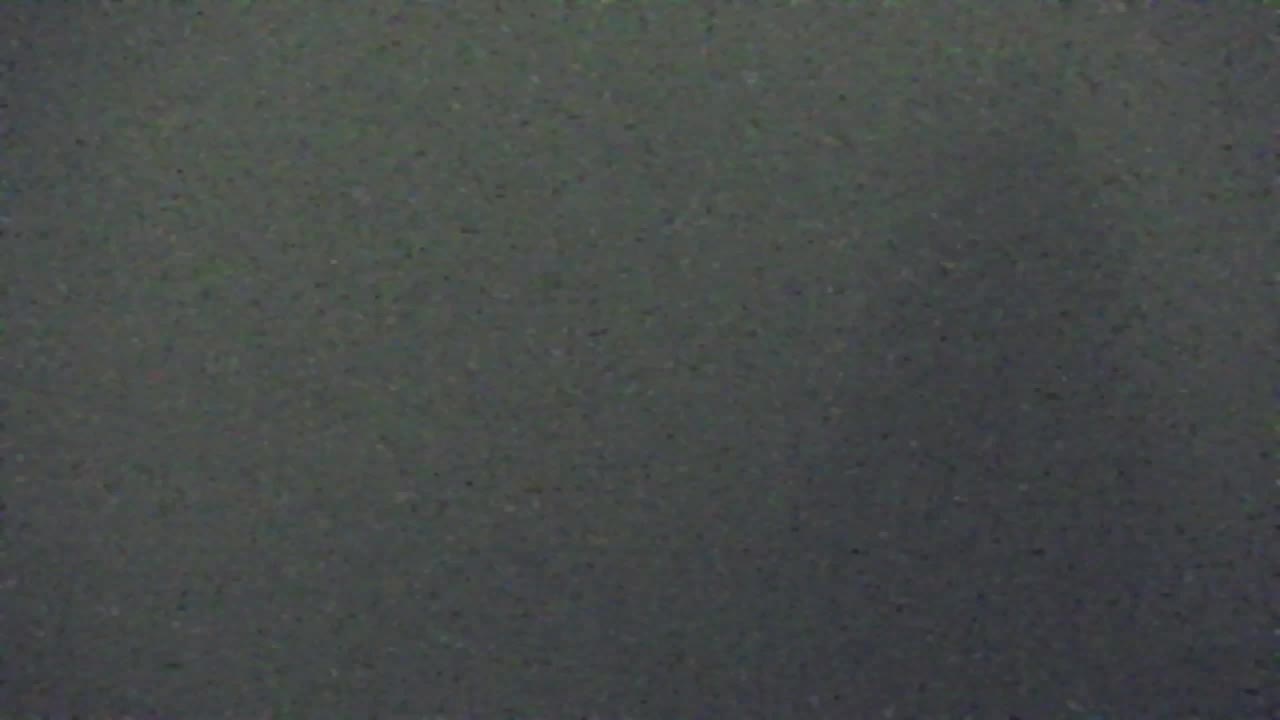 Webcam Loqua / Lokve – La bellezza della selva di Tarnova