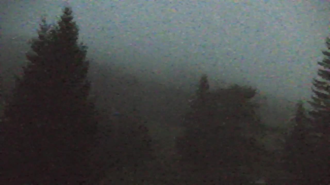 Webcam Loqua / Lokve – La bellezza della selva di Tarnova