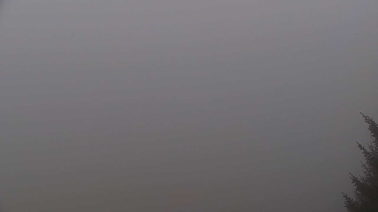 Web kamera Lokve – Ljepota Trnovske šume