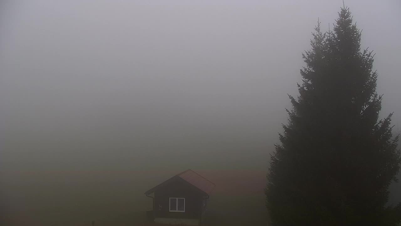 Webcam Loqua / Lokve – La bellezza della selva di Tarnova