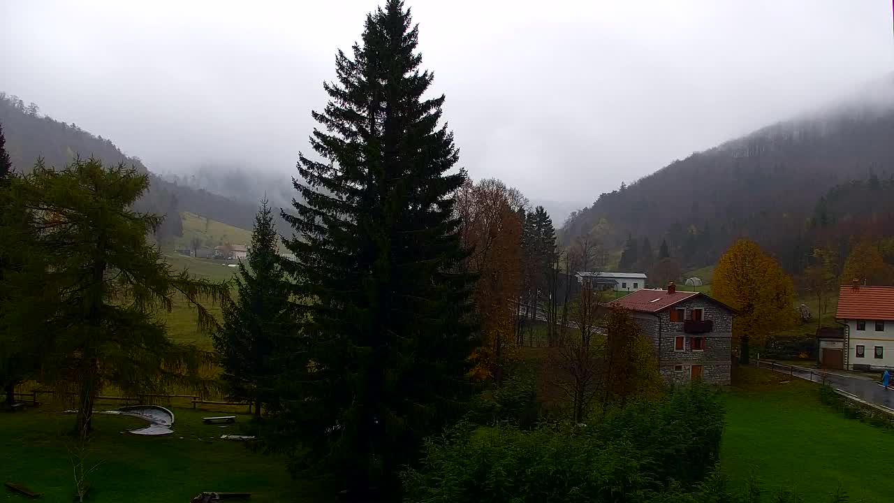 Lokve kamera – Naravne lepote Trnovskega gozda