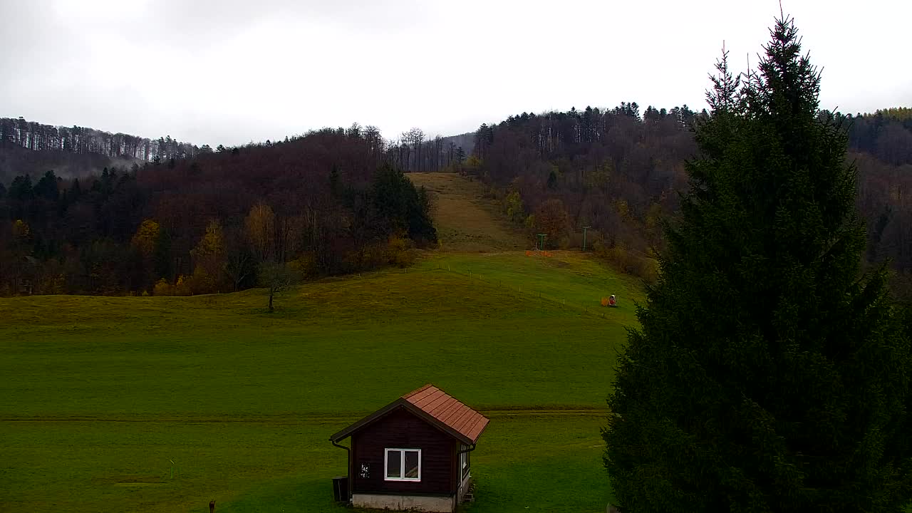 Webcam Lokve – La beauté de la forêt de Trnovo