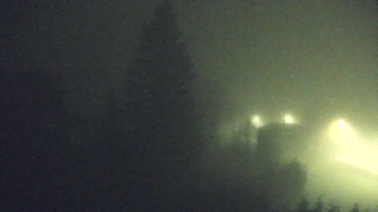 Webcam Lokve – The beauty of the Trnovo forest