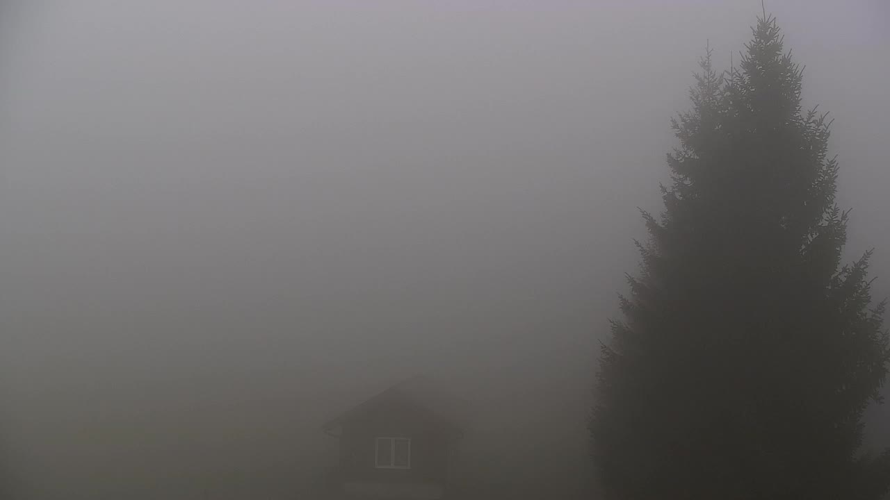 Camera en vivo Lokve – La belleza del bosque de Trnovo