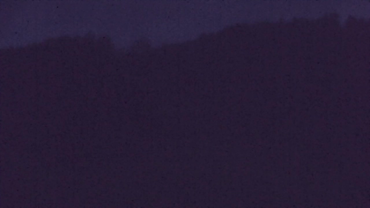 Web kamera Lokve – Ljepota Trnovske šume