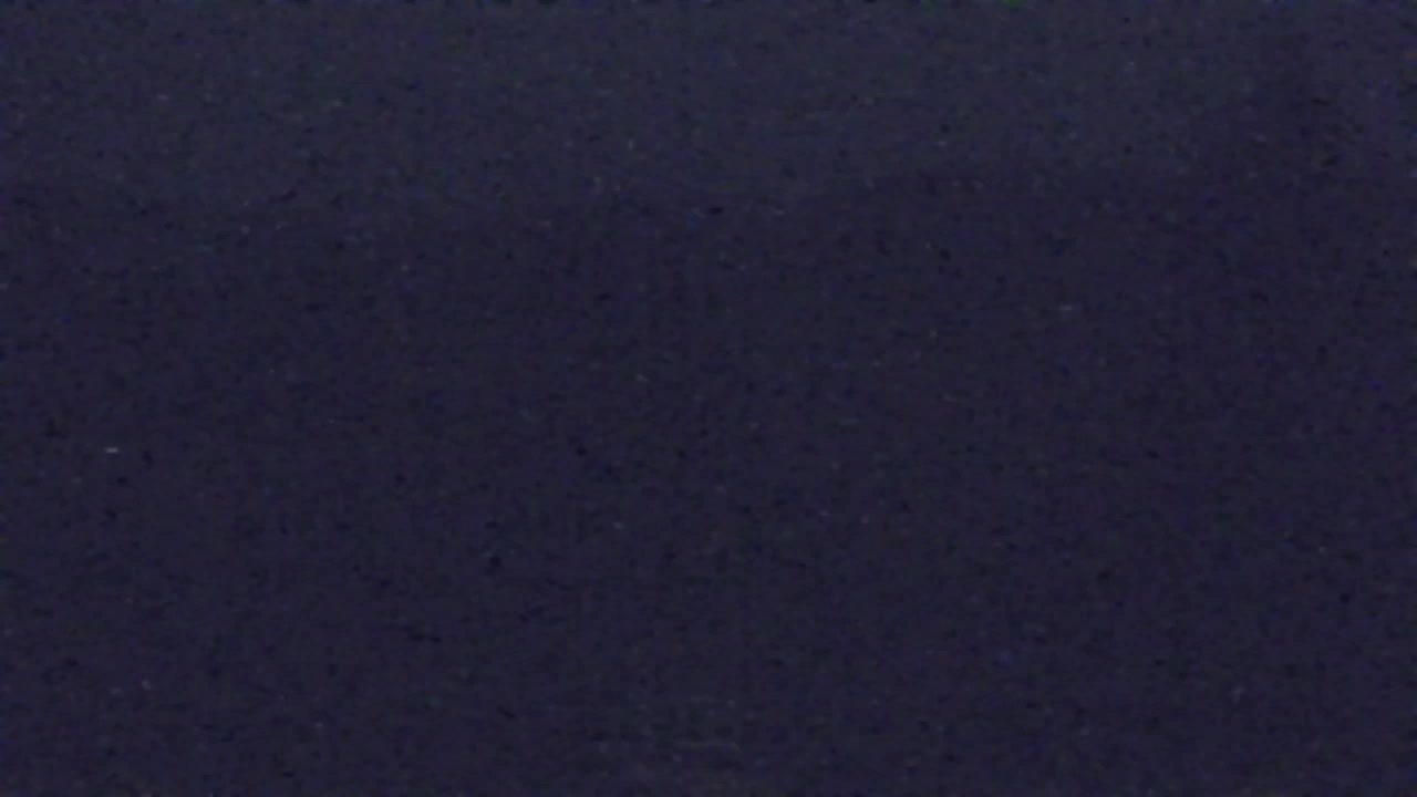 Webcam Loqua / Lokve – La bellezza della selva di Tarnova