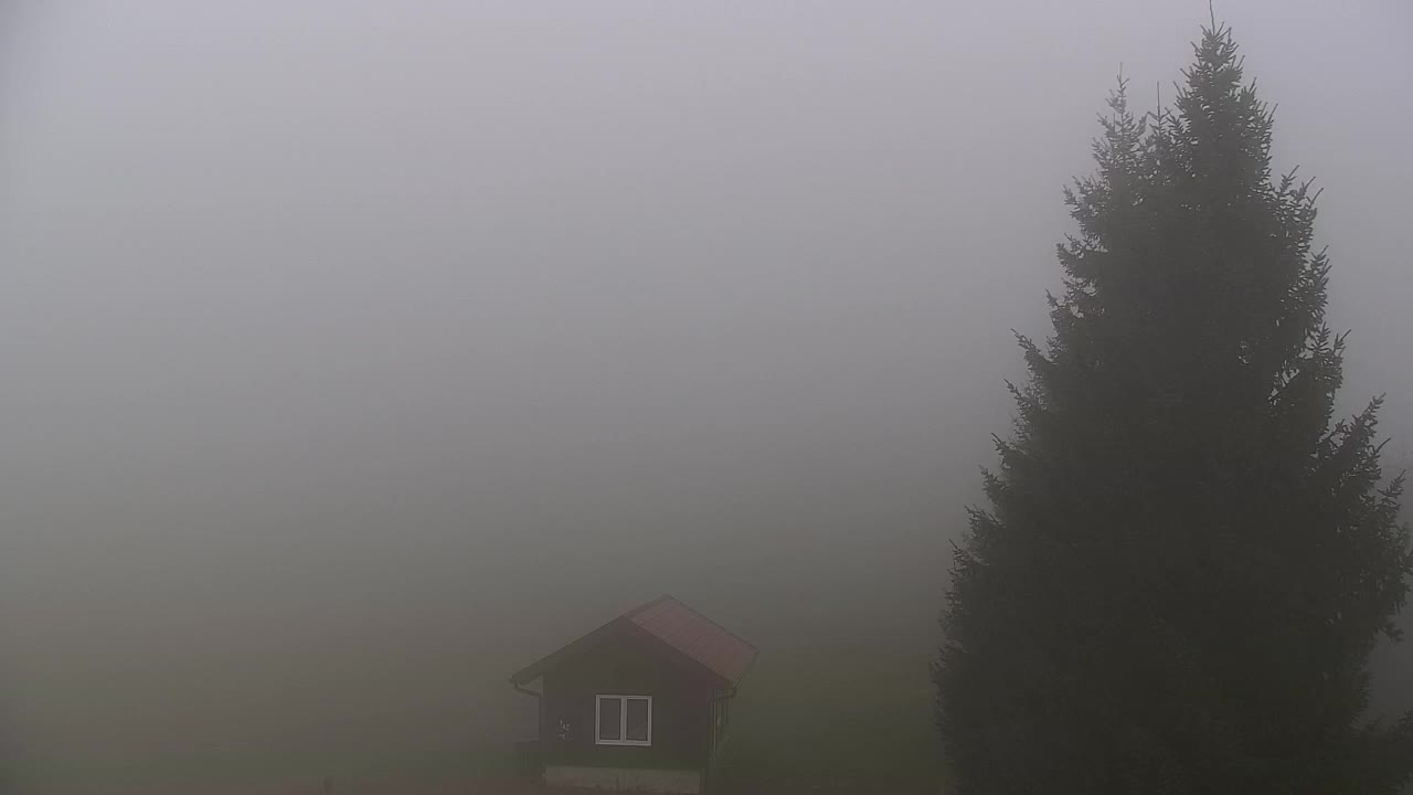 Webcam Lokve – Die Schönheit des Trnovo-Waldes