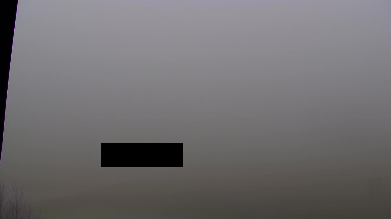 Webcam Loqua / Lokve – La bellezza della selva di Tarnova