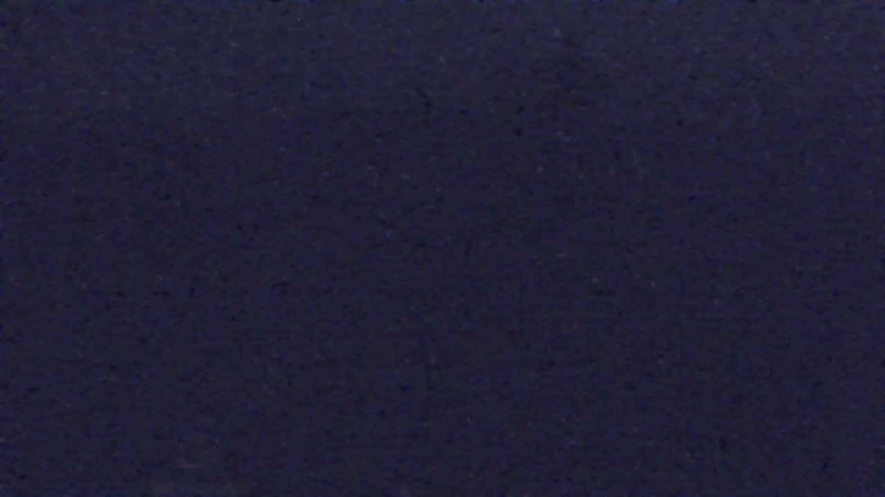 Webcam Lokve – La beauté de la forêt de Trnovo