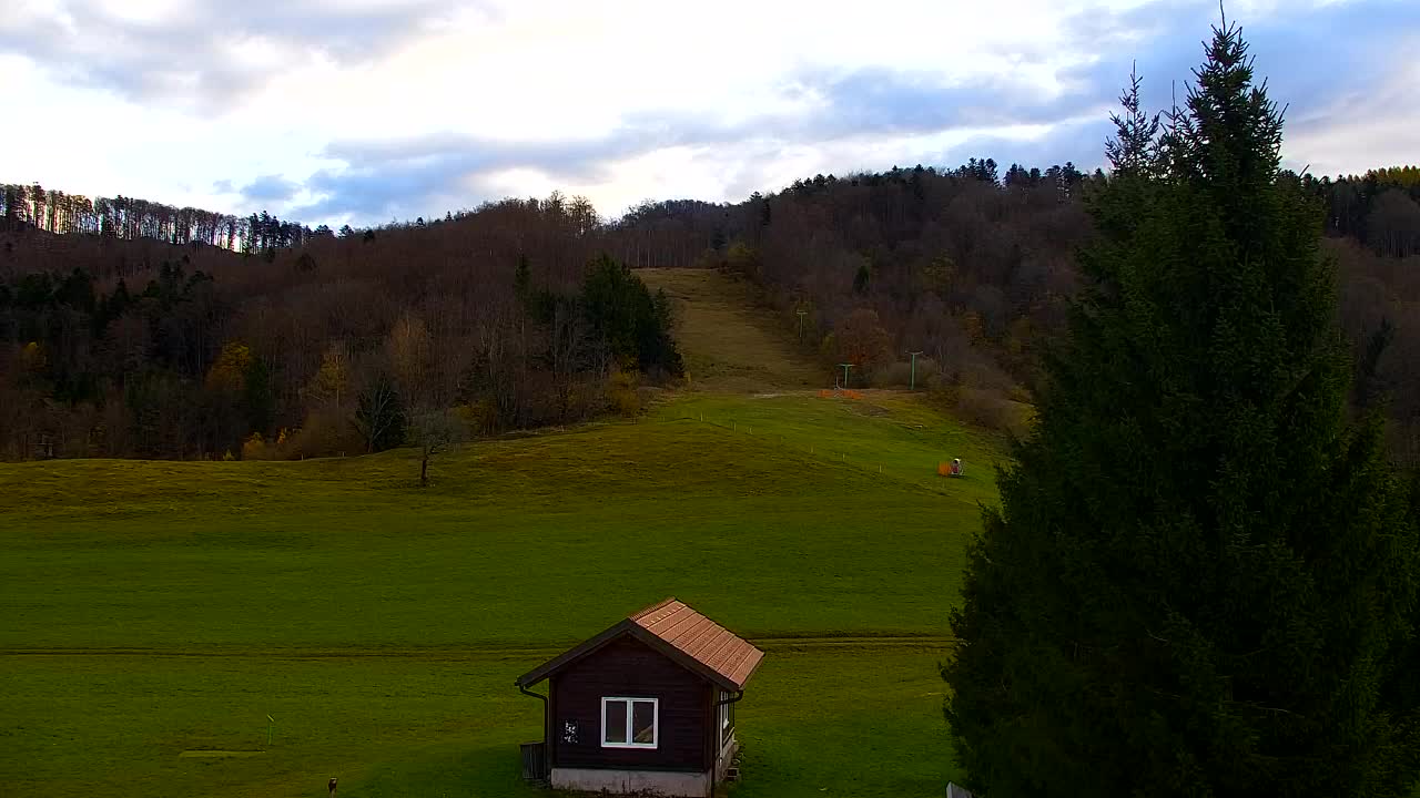 Webcam Loqua / Lokve – La bellezza della selva di Tarnova