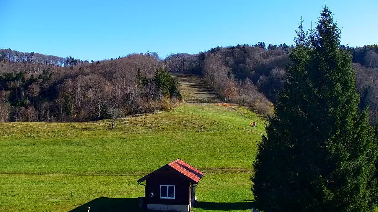 Webcam Lokve – The beauty of the Trnovo forest
