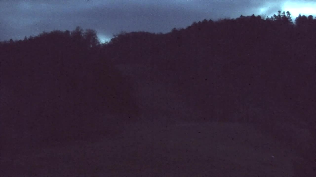 Webcam Lokve – La beauté de la forêt de Trnovo