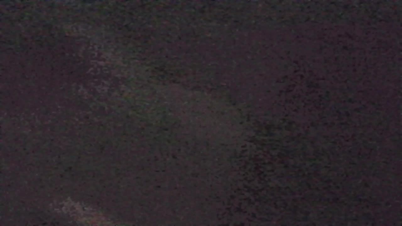 Webcam Lokve – The beauty of the Trnovo forest