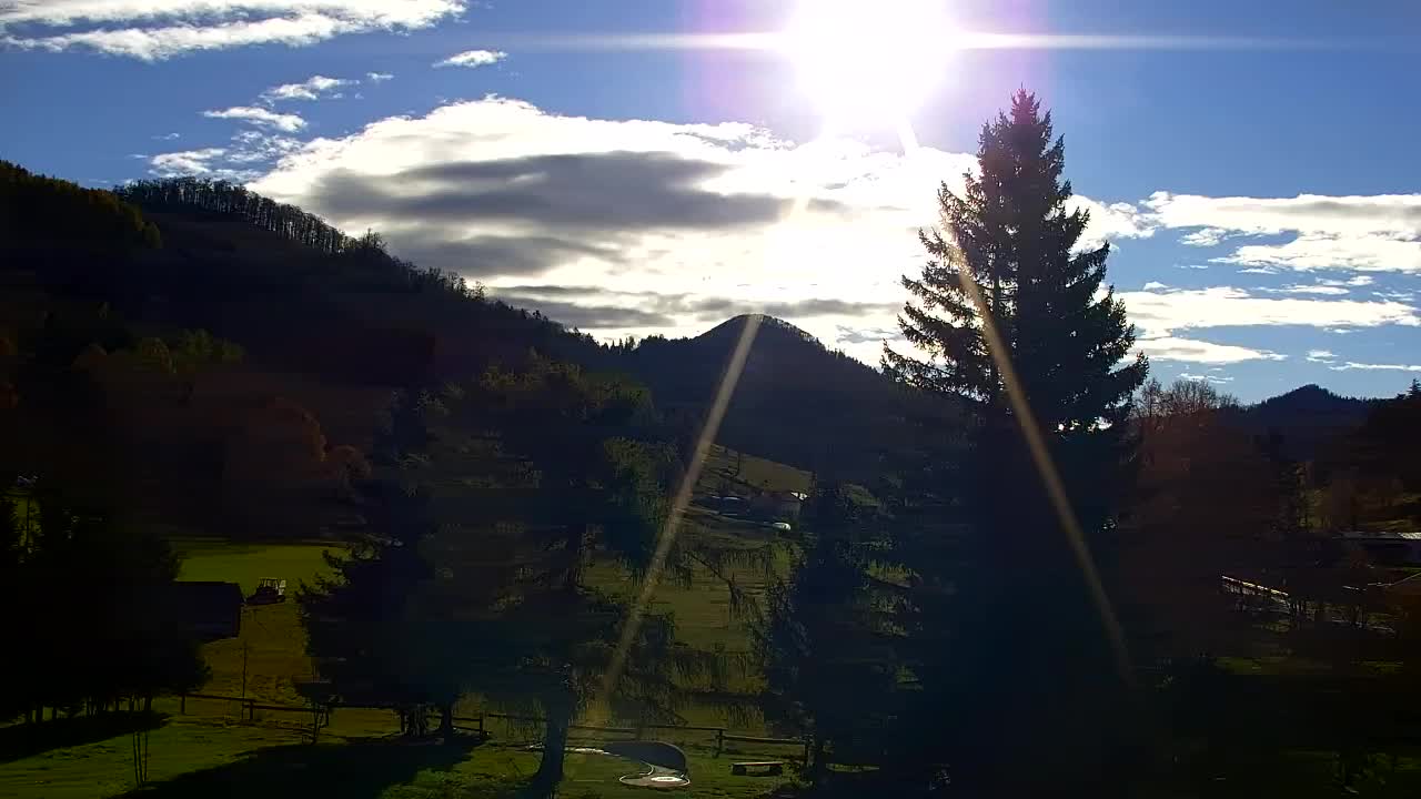 Webcam Lokve – The beauty of the Trnovo forest