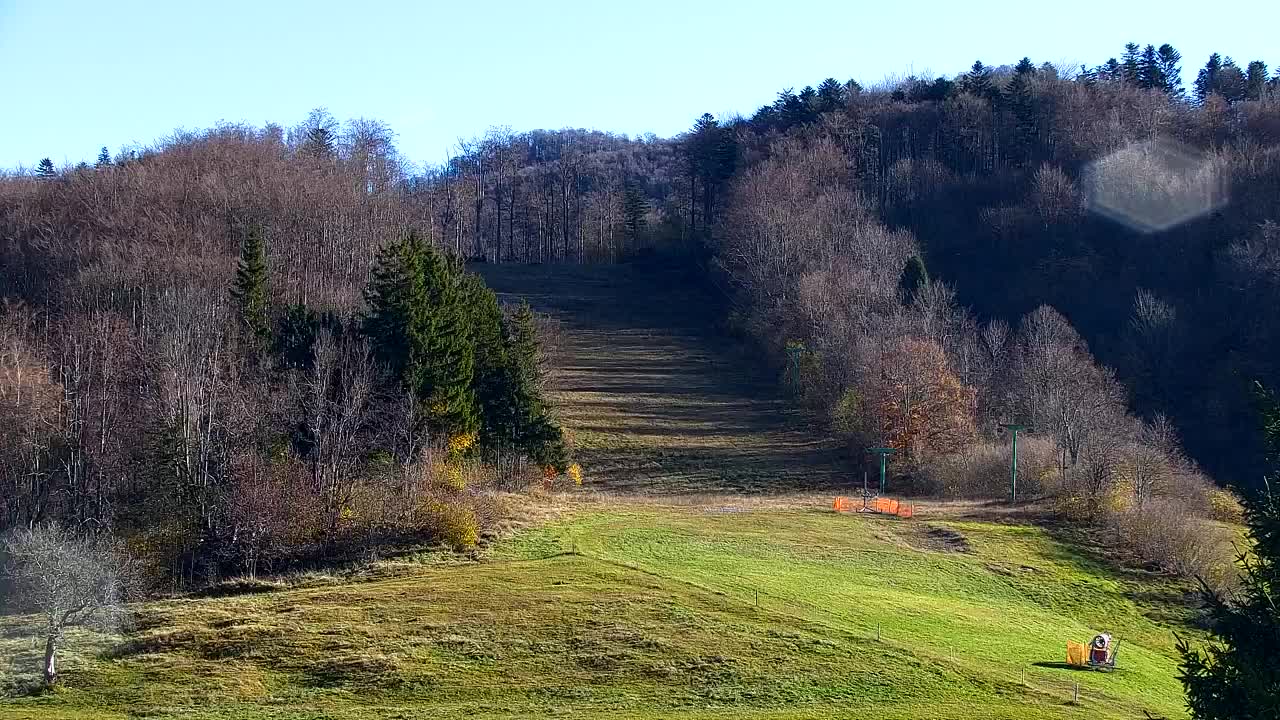 Webcam Loqua / Lokve – La bellezza della selva di Tarnova