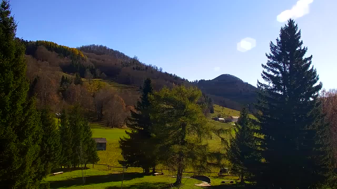 Webcam Lokve – The beauty of the Trnovo forest