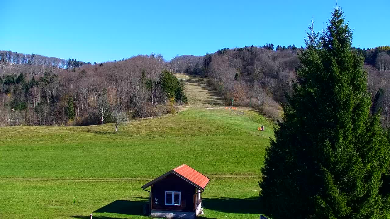 Webcam Loqua / Lokve – La bellezza della selva di Tarnova