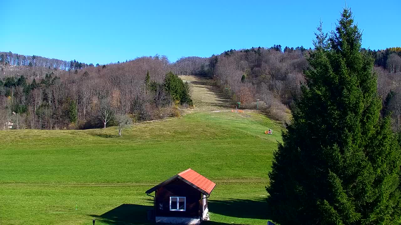Lokve kamera – Naravne lepote Trnovskega gozda