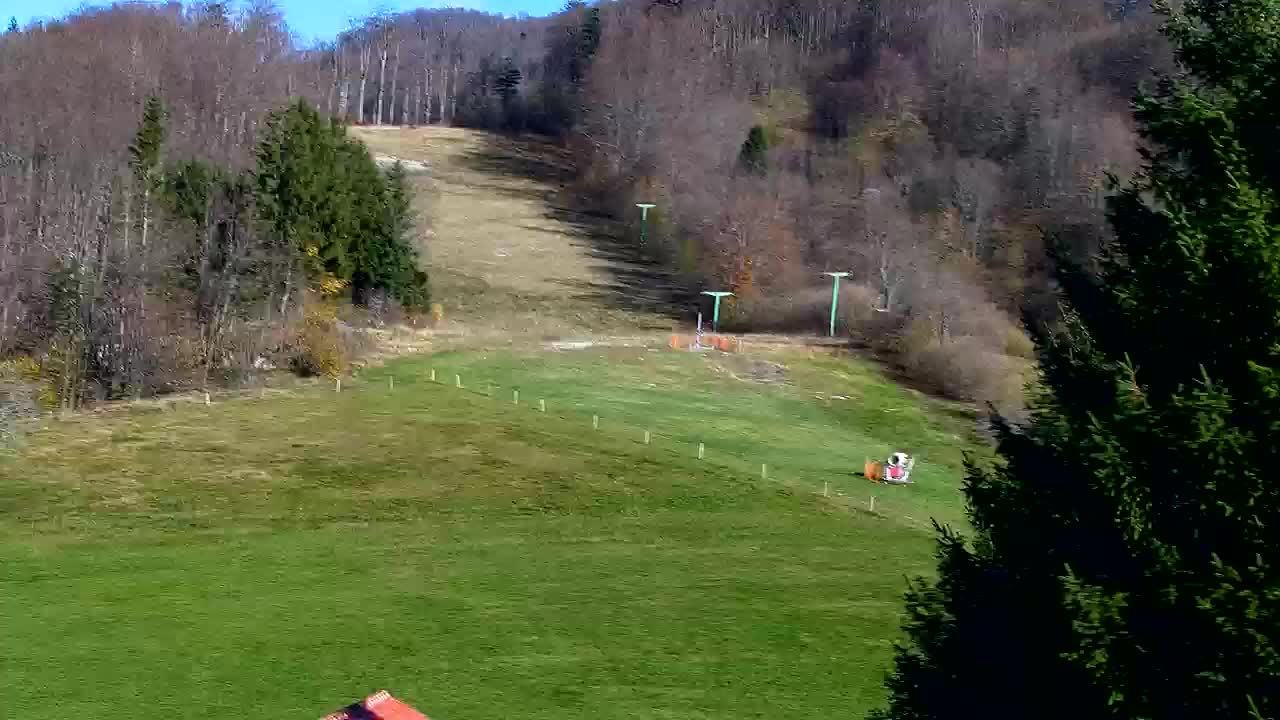 Lokve kamera – Naravne lepote Trnovskega gozda