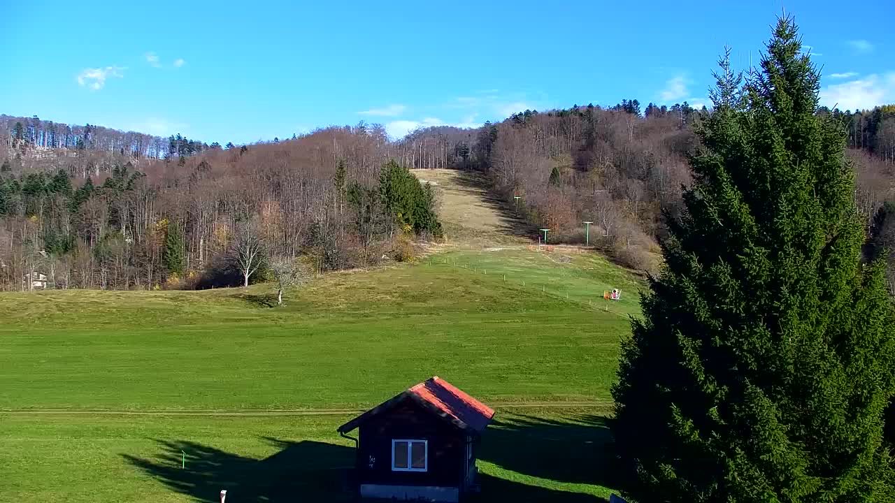 Webcam Loqua / Lokve – La bellezza della selva di Tarnova