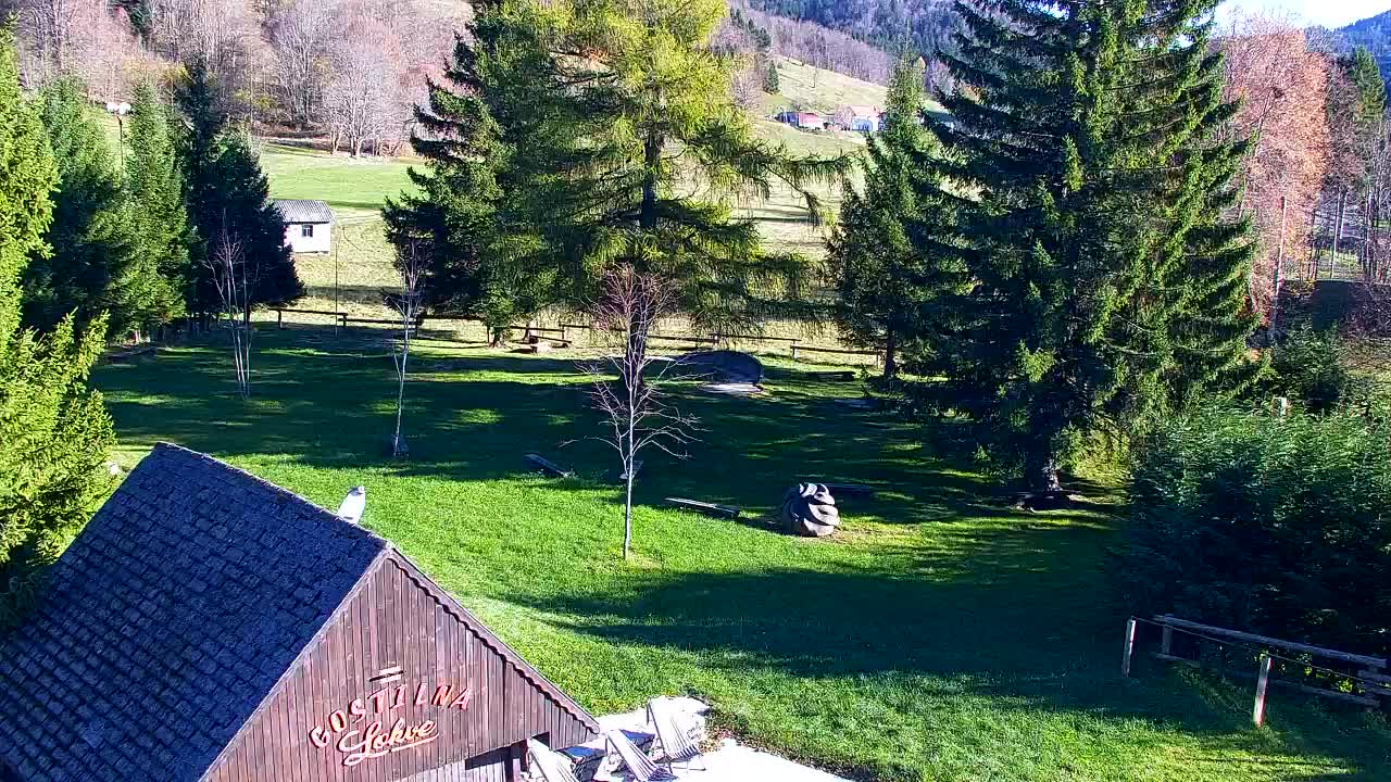 Webcam Lokve – The beauty of the Trnovo forest