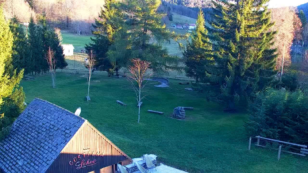 Webcam Lokve – The beauty of the Trnovo forest