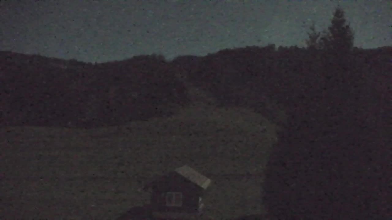 Webcam Lokve – The beauty of the Trnovo forest