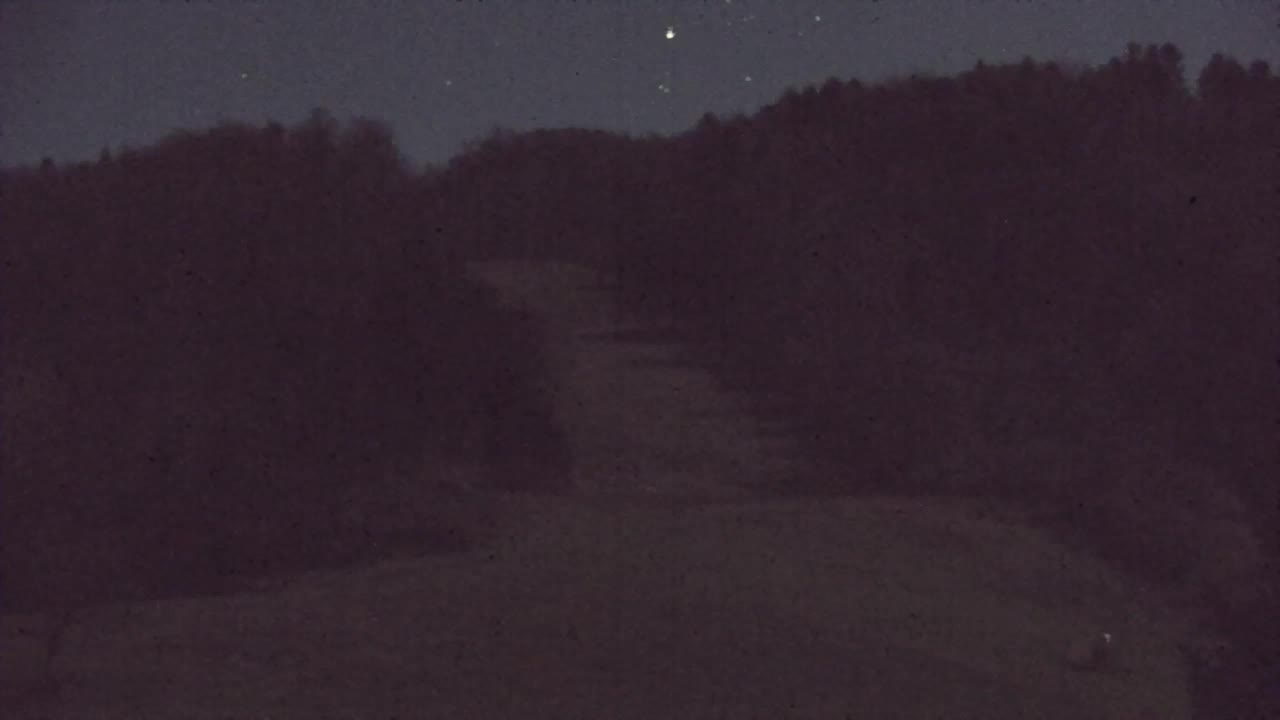 Webcam Loqua / Lokve – La bellezza della selva di Tarnova