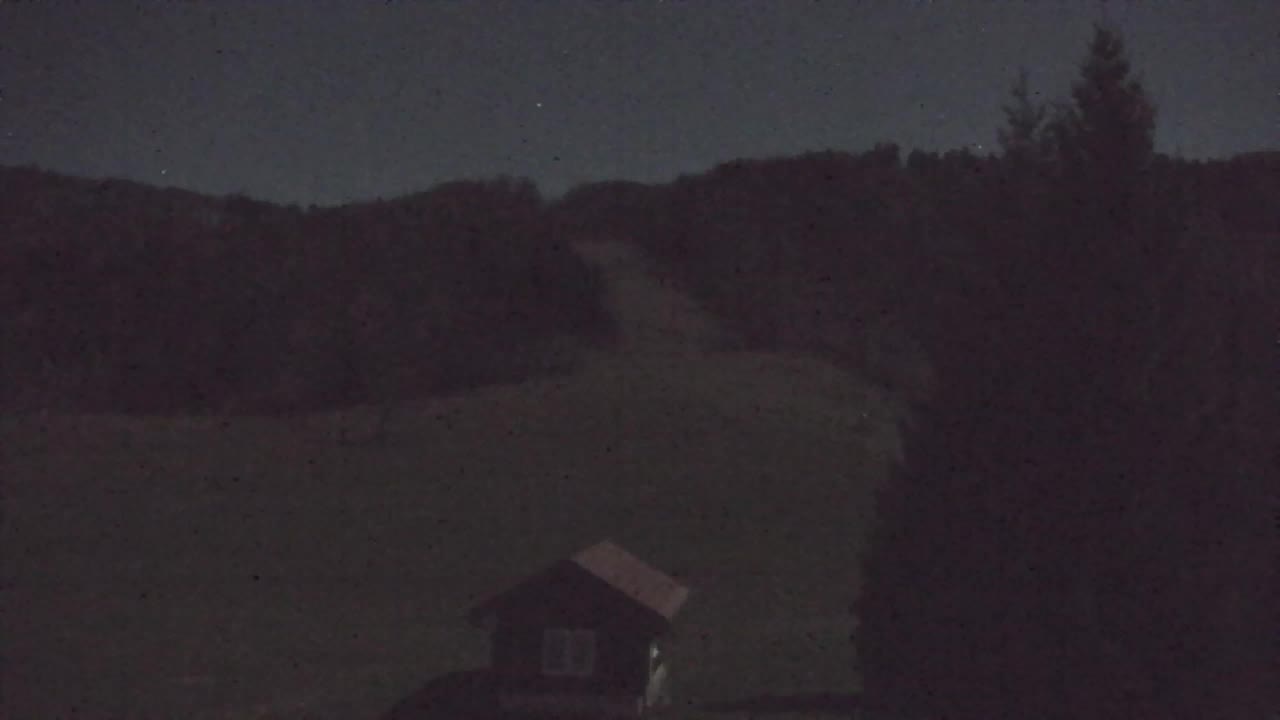 Webcam Lokve – Die Schönheit des Trnovo-Waldes