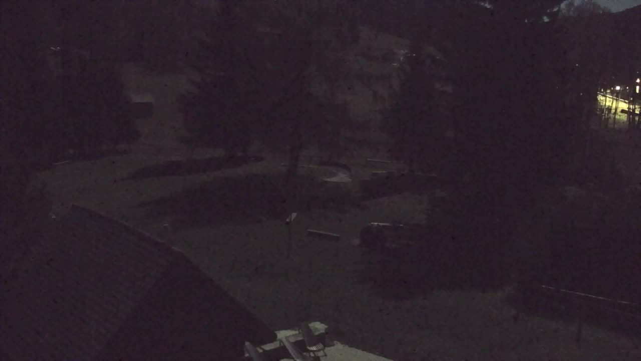 Webcam Loqua / Lokve – La bellezza della selva di Tarnova