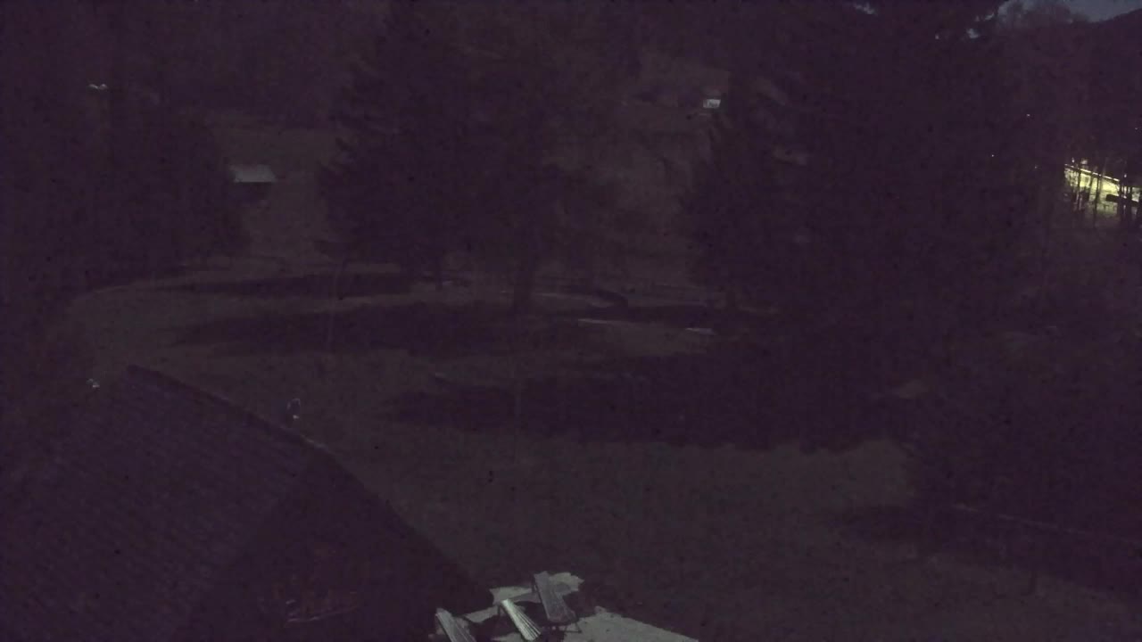 Webcam Lokve – The beauty of the Trnovo forest