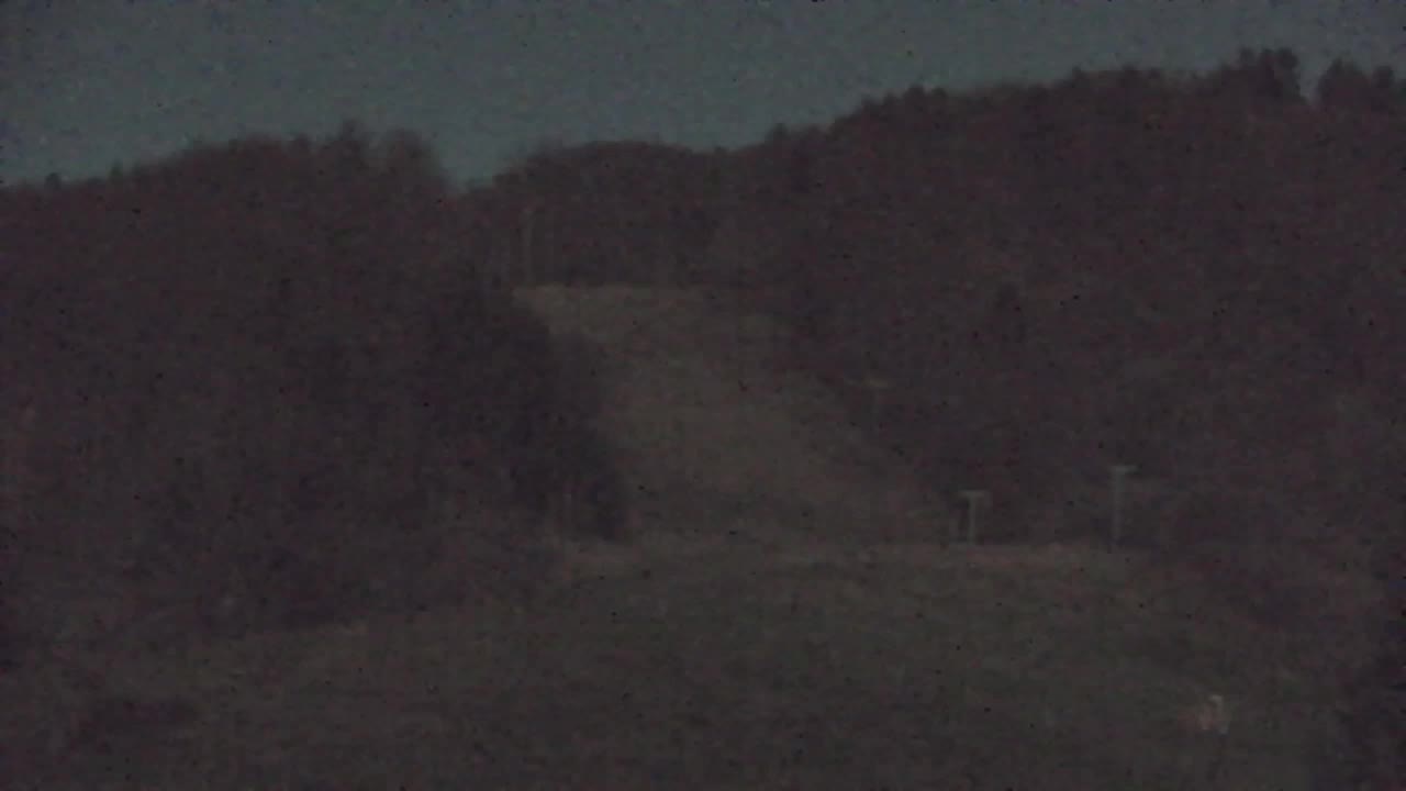 Web kamera Lokve – Ljepota Trnovske šume