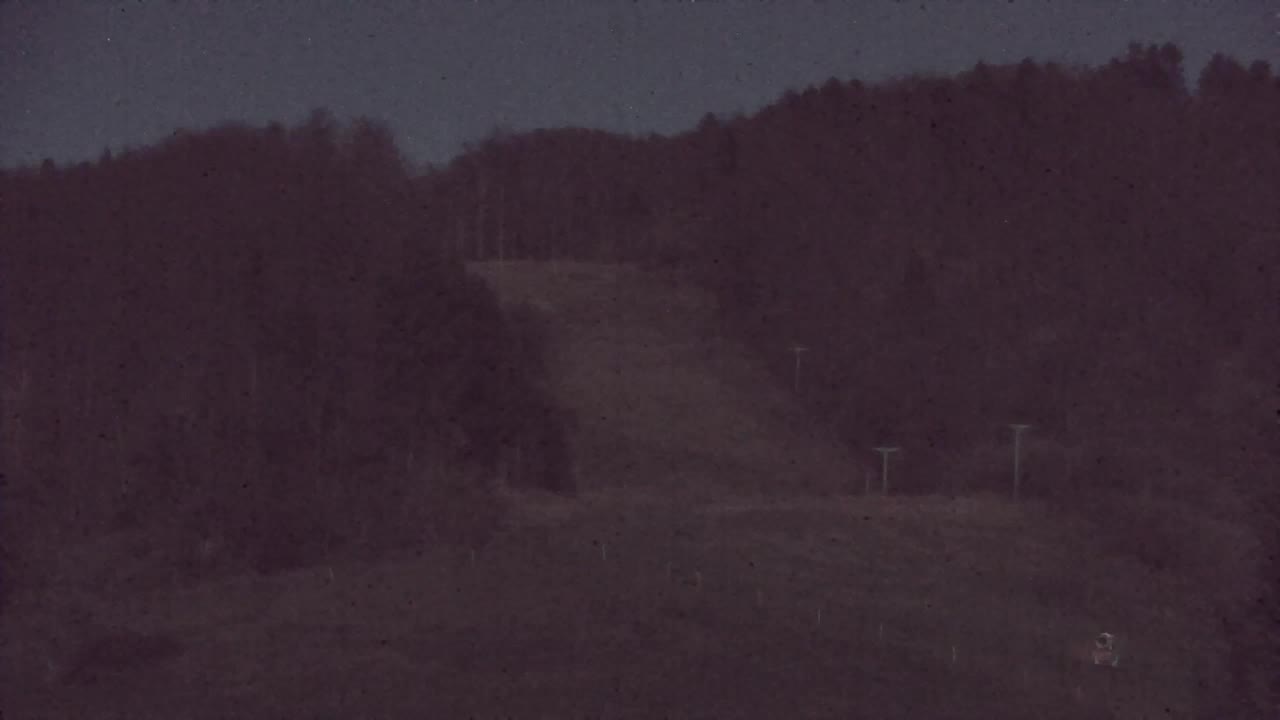 Webcam Lokve – Die Schönheit des Trnovo-Waldes