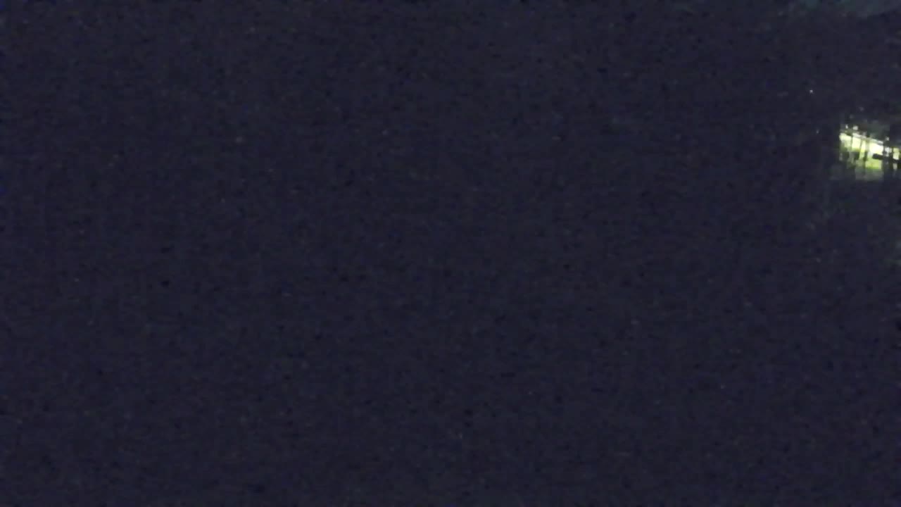 Webcam Lokve – La beauté de la forêt de Trnovo