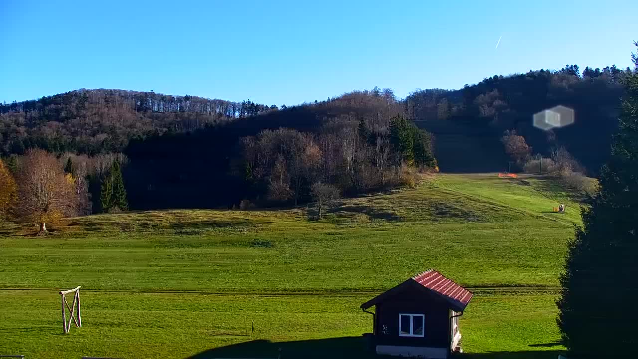 Webcam Loqua / Lokve – La bellezza della selva di Tarnova