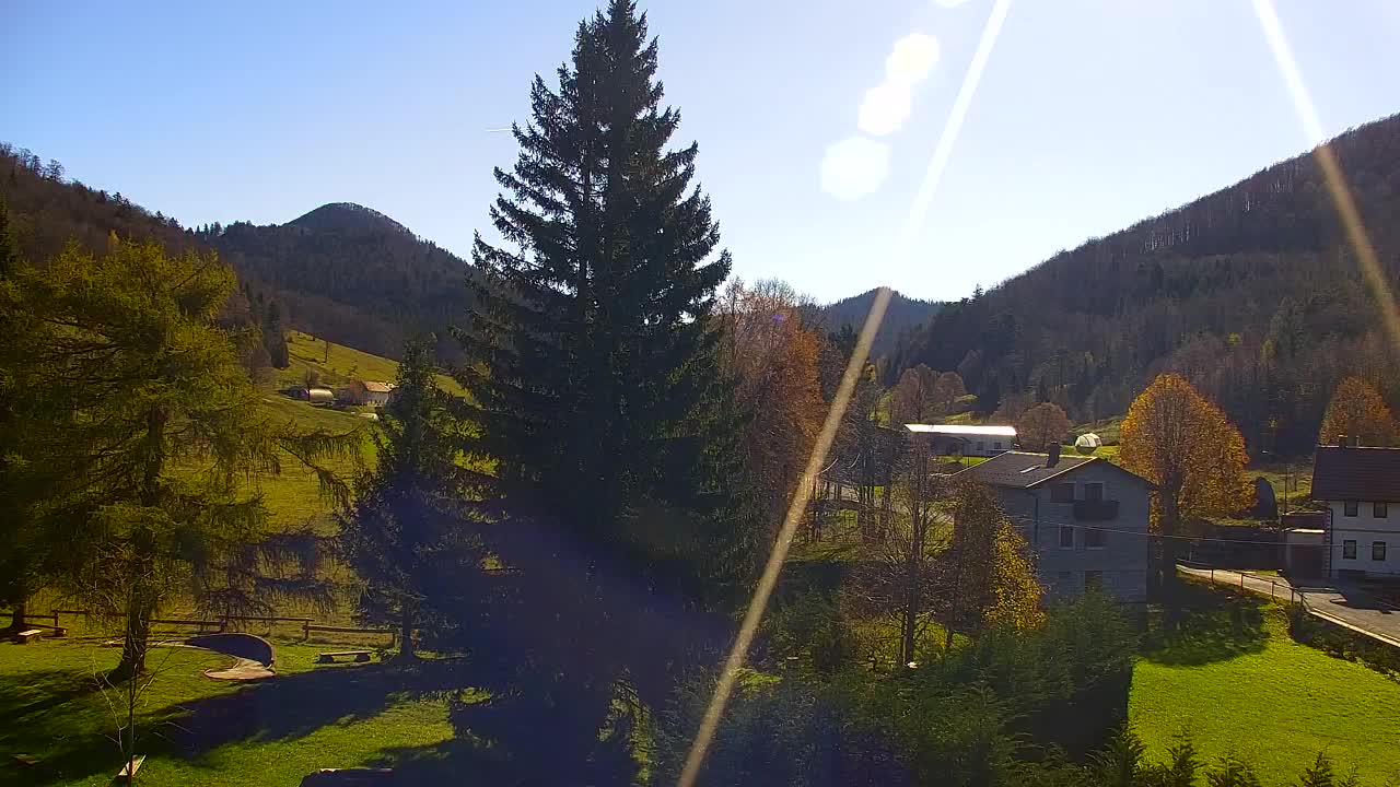 Webcam Lokve – The beauty of the Trnovo forest