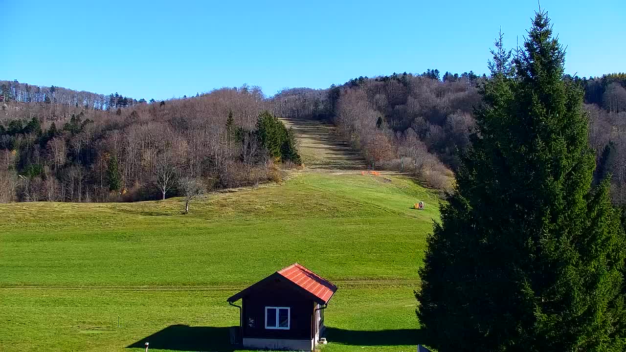 Webcam Loqua / Lokve – La bellezza della selva di Tarnova
