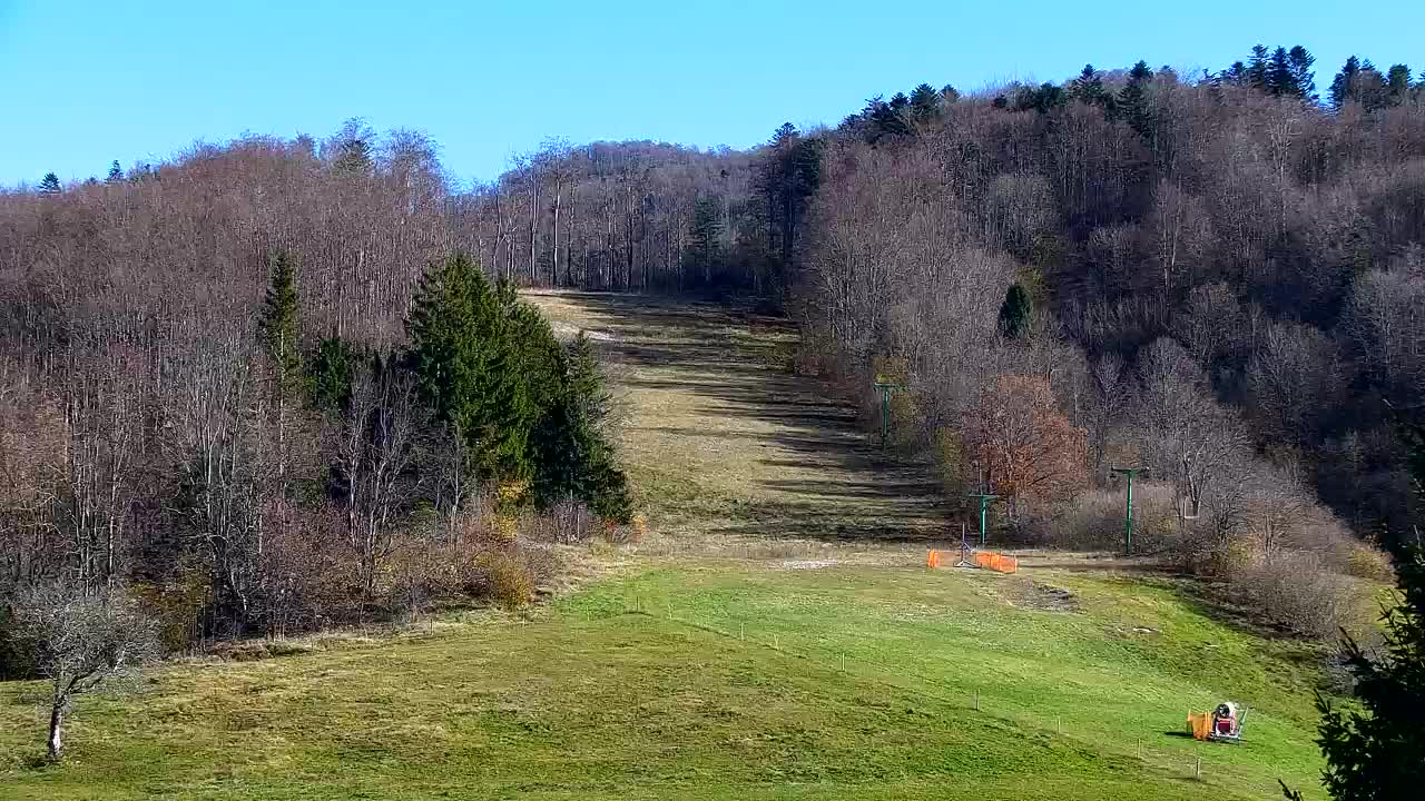 Webcam Loqua / Lokve – La bellezza della selva di Tarnova