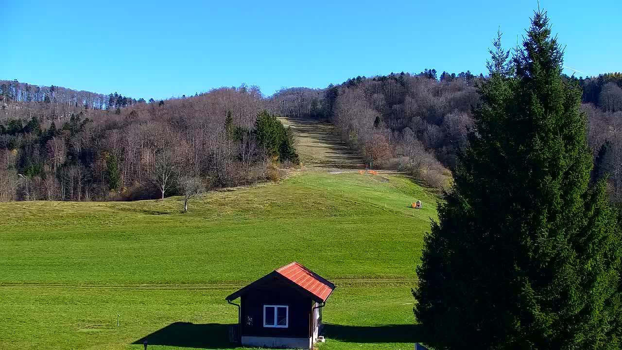 Lokve kamera – Naravne lepote Trnovskega gozda