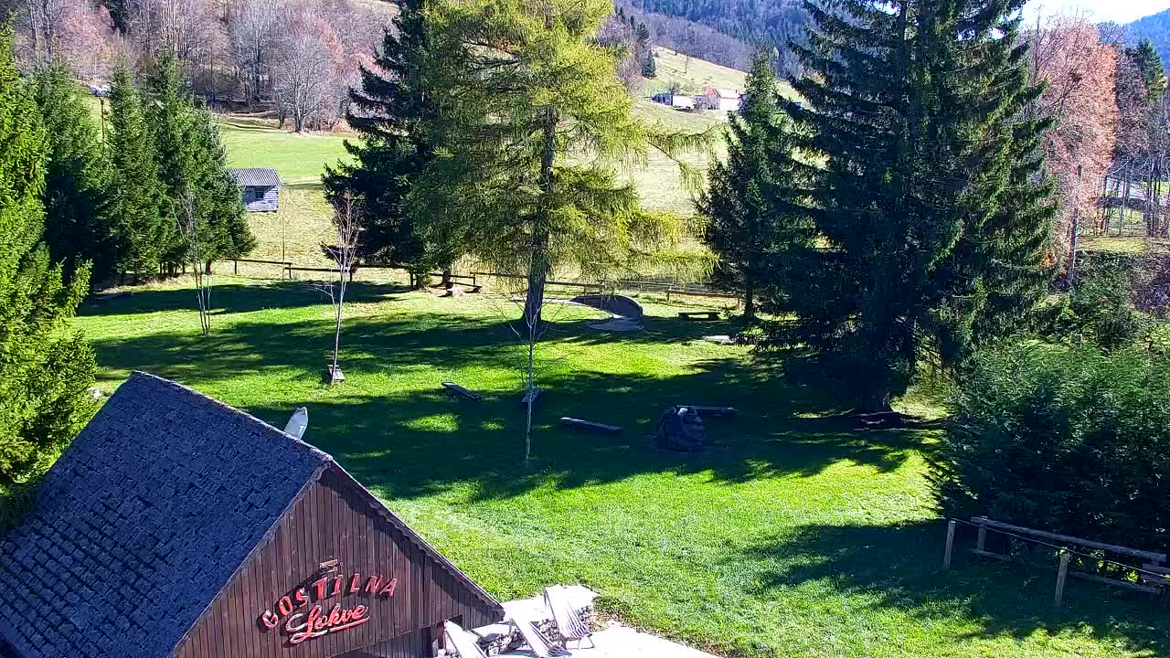 Webcam Lokve – The beauty of the Trnovo forest