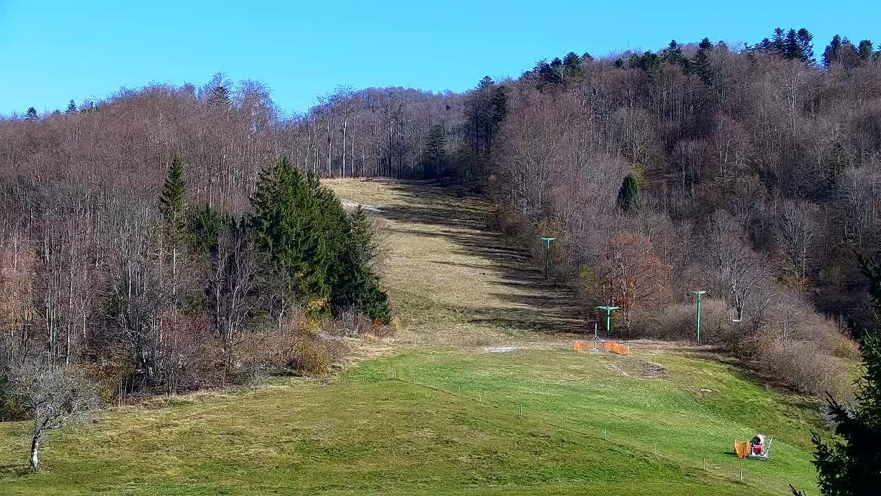 Webcam Lokve – The beauty of the Trnovo forest