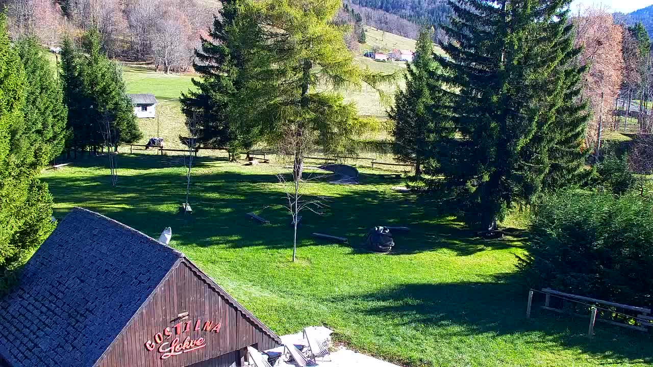 Webcam Lokve – Die Schönheit des Trnovo-Waldes