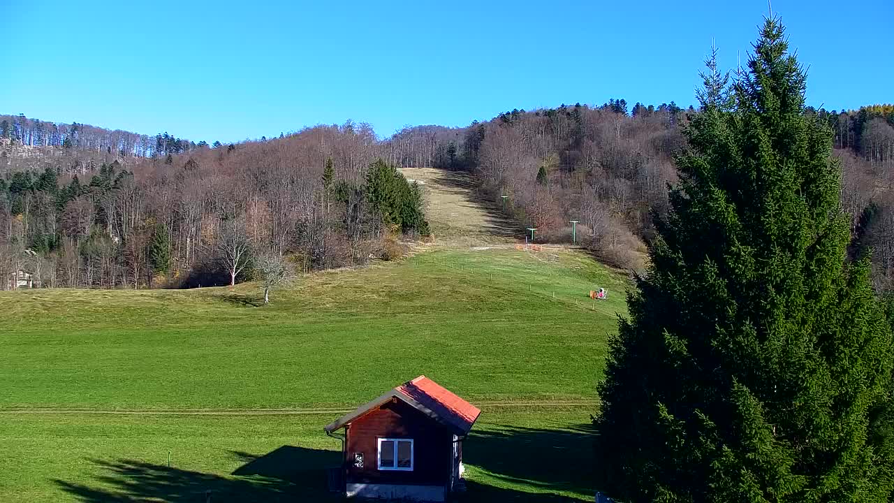 Webcam Loqua / Lokve – La bellezza della selva di Tarnova