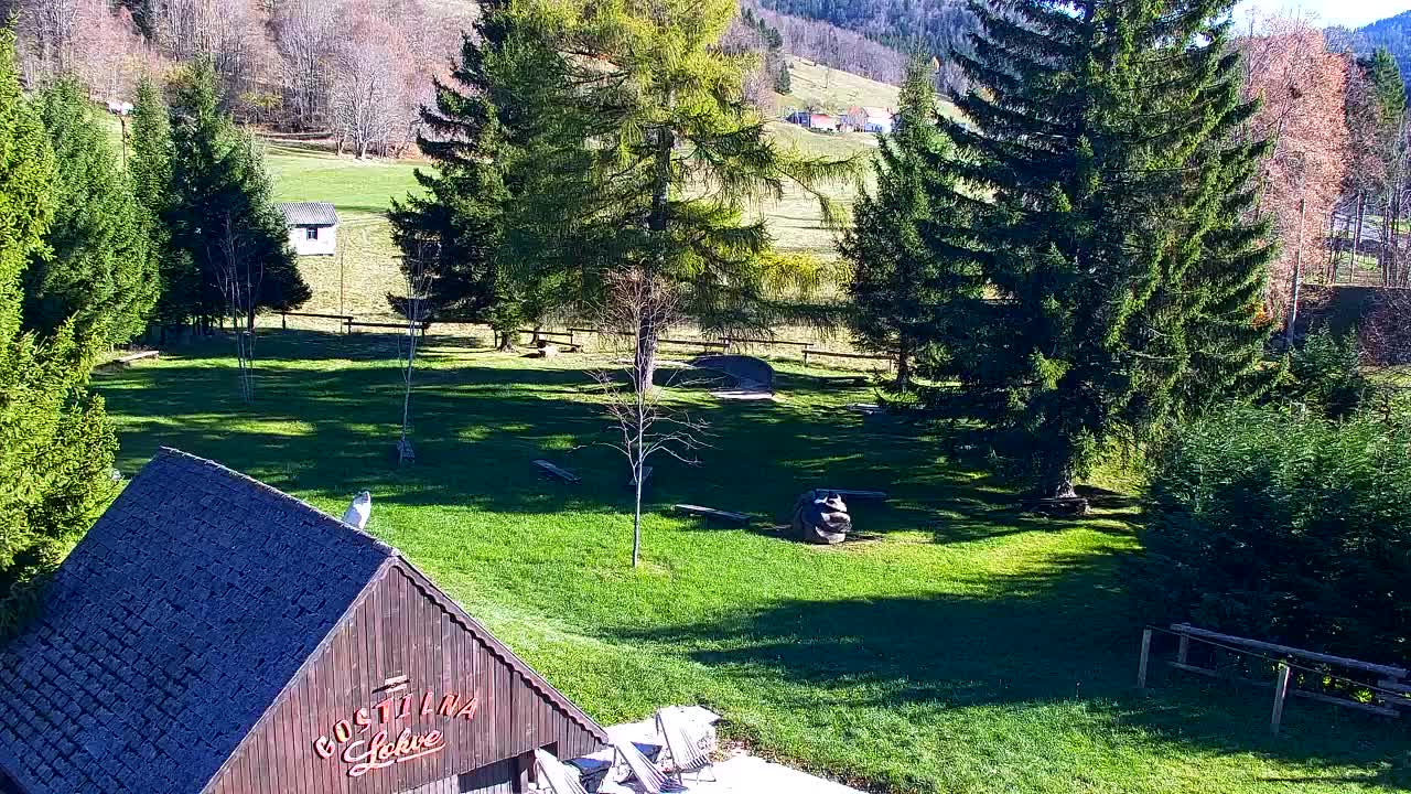 Webcam Lokve – La beauté de la forêt de Trnovo