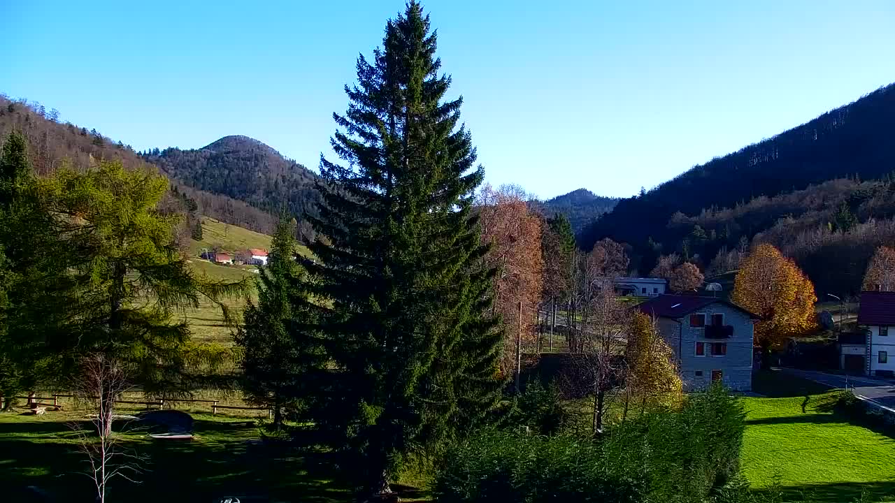 Lokve kamera – Naravne lepote Trnovskega gozda