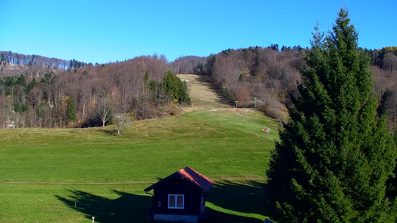 Camera en vivo Lokve – La belleza del bosque de Trnovo